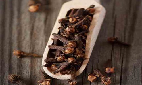 Clove - Laung - With Oil Content (100 Gms)