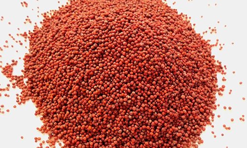 Red Desi Rai