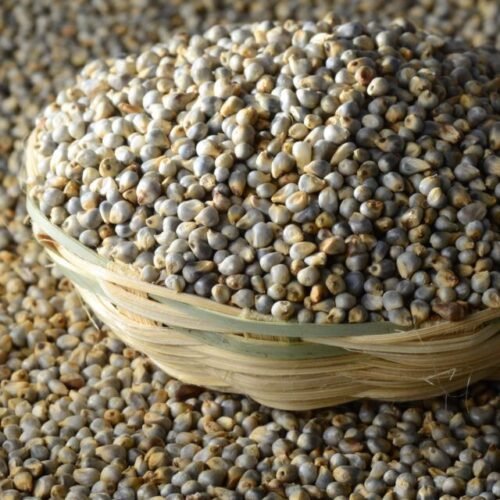 Whole Bajra (Pearl Millet) 1Kg