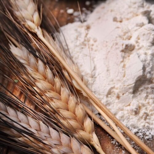Jaivik Wheat Flour – Organic wheat -Stone-Ground - 3kg
