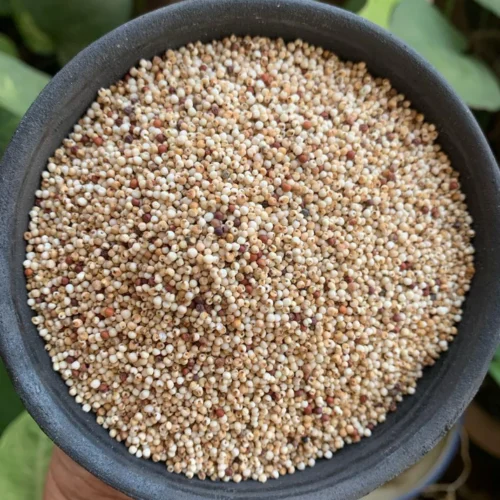 Whole Ragi (500Gm)